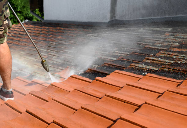 Trusted Taylor Creek, OH Pressure Washing Experts