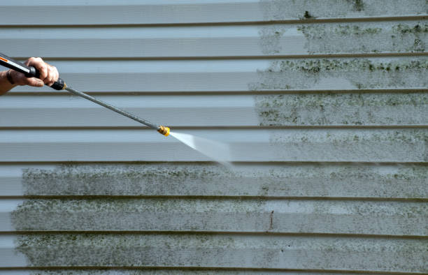 Best Roof Pressure Washing  in Taylor Creek, OH