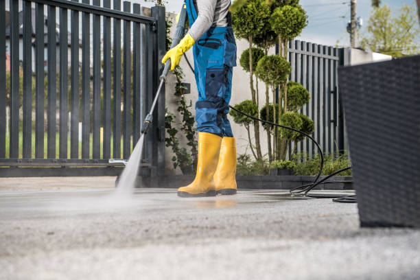 Best Exterior Home Cleaning  in Taylor Creek, OH