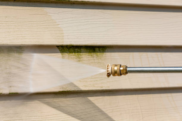 Best Roof Power Washing Services  in Taylor Creek, OH